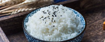 ​大米的由来 大米的由来过程