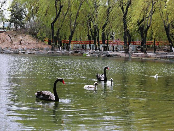 3、天鹅湖景区