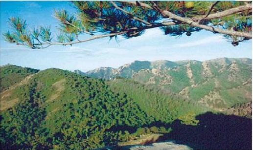 2.乌拉山旅游景区