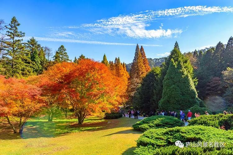 5、庐山植物园
