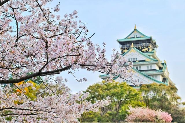 旅游临沂哪里有好的洗头房？  3