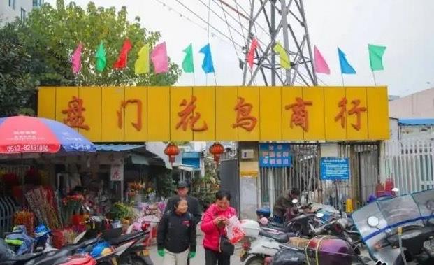 旅游苏州七大花鸟市场（苏州花鸟市场在哪里）  2