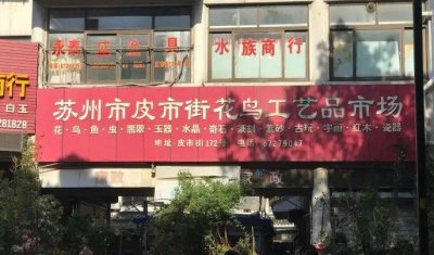 ​苏州七大花鸟市场（苏州花鸟市场在哪里）