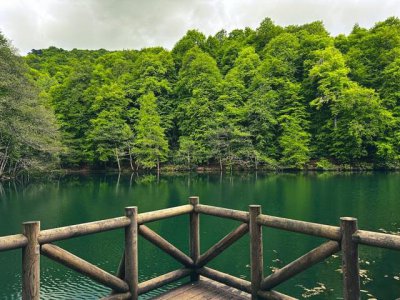 ​东三省的旅游景点有哪些(东三省旅游景区)