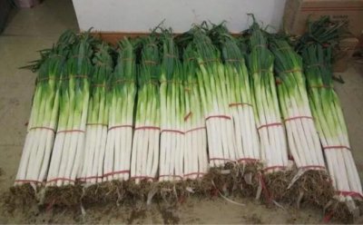 ​济南十大特产介绍（济南最地道的十种特产）