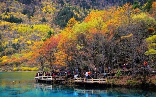 旅游国内最适合赏秋的景点（有哪些适合秋天前往的景区）  3