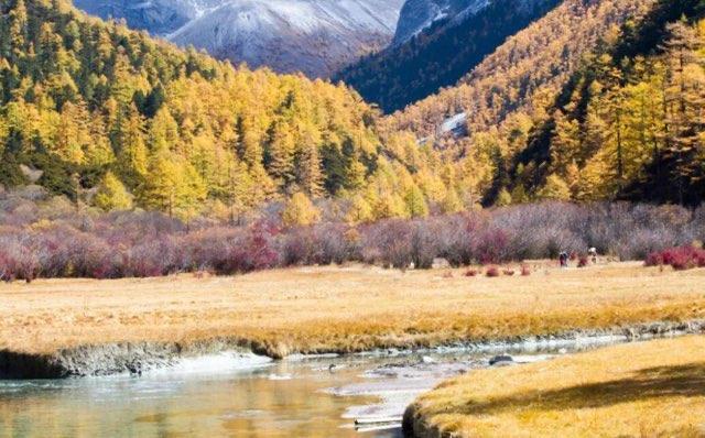 旅游国内最适合赏秋的景点（有哪些适合秋天前往的景区）  2