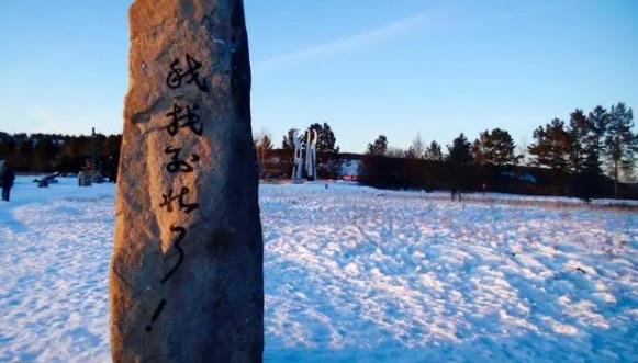 旅游黑龙江十大旅游景点（漠河北极村榜上第三）  2