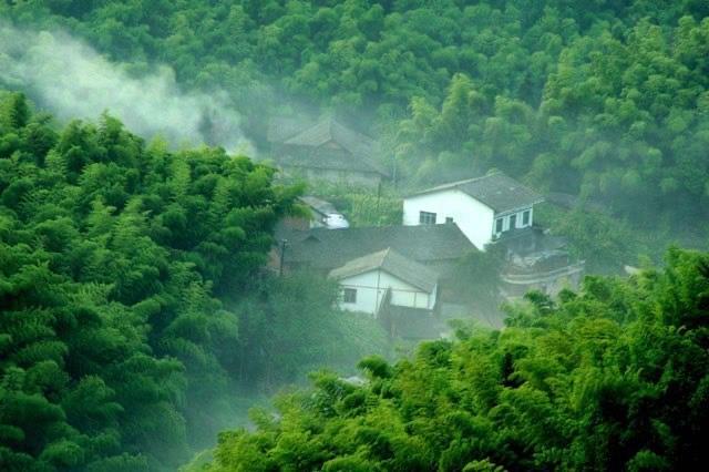旅游蜀南竹海在哪里（最美森林蜀南竹海的景点情况介绍）  3