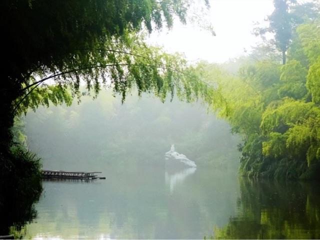 旅游蜀南竹海在哪里（最美森林蜀南竹海的景点情况介绍）  8