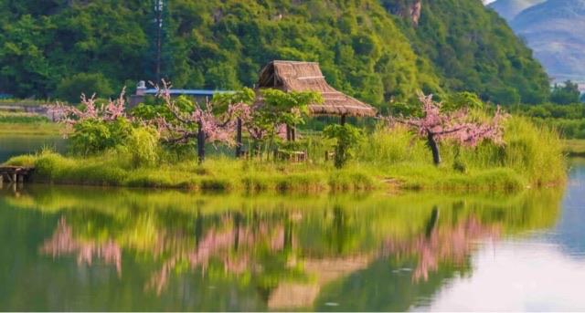 旅游云南必去的五大景点（云南有哪些值得前往的景区）  4