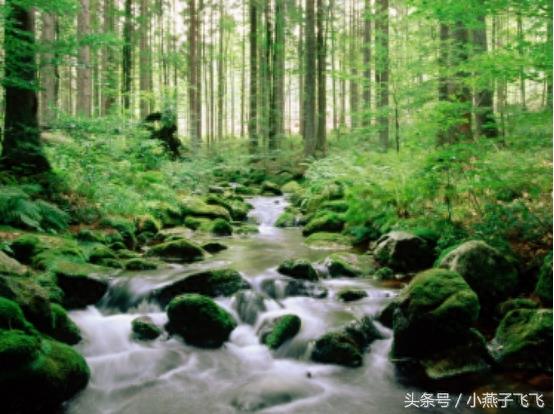 高清图集：解压力，放松心情的美景图