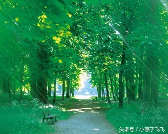 高清图集：解压力，放松心情的美景图