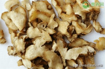 ​黄精种植季节几月份(黄精生长条件与环境)
