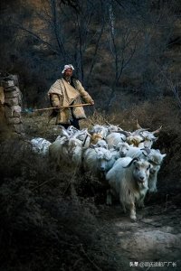 ​一个背井离乡之人的悲剧，1995年尤溪县黑底山无名男尸案侦破始末