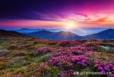 ​6本相亲文推荐：从不爱到爱有多远？