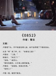 ​6本现实向小说：熟男熟女《0852》《屠路》超经典