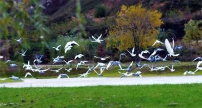 江山公交车线路查询最新消息?哪辆公交车最快到达目的地?