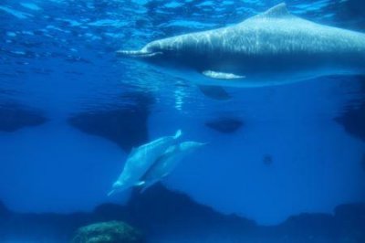 杭州有哪些必打卡景点