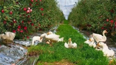 大连游玩一日游攻略?大连游玩一日游攻略