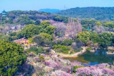 ​乡村旅游的特点 如何开发乡村旅游
