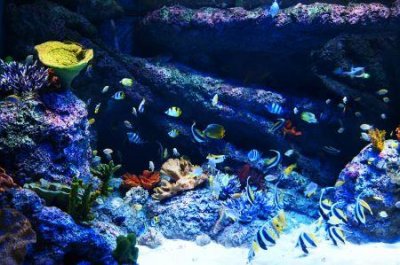 长沙必去的10个景点湖南旅游攻略自由行更佳线路