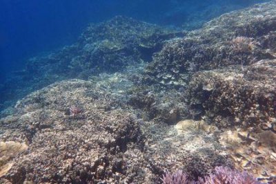 崇明西沙湿地公园旅游崇明西沙湿地公园和崇明岛国家地质公园