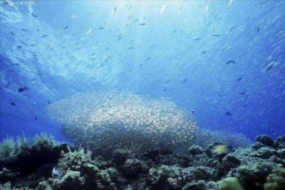 印尼最著名的景点是什么及其所在和如何到达