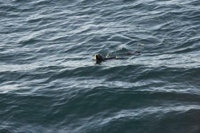 9月下旬去迪拜旅游热吗?迪拜气候