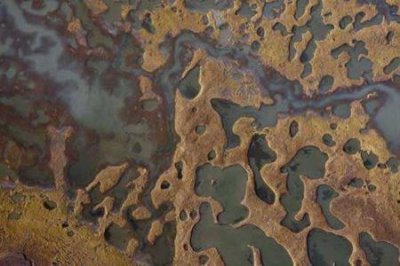 大埔乡村旅游大埔乡村旅游景点