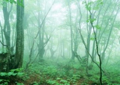 铜仁旅游攻略必玩的景点有哪些地方10大必去之地