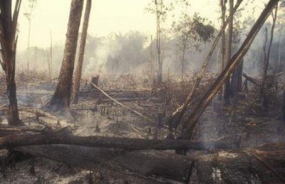 中国景点前100名排行榜 最新名单哪些热门景点不容错过