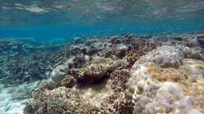 景点卡怎么设计好看一点