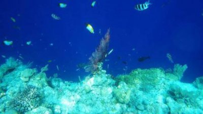 南阳市区好玩的地方 南阳市区好玩的地方一下