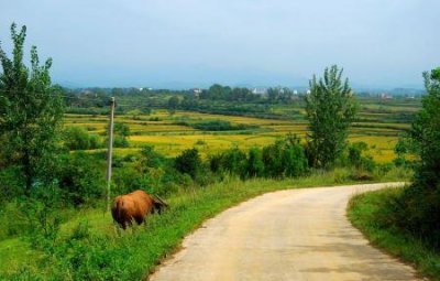 娄底小孩最好玩的地方 娄底哪儿好玩