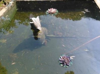 新一线城市租房申请条件