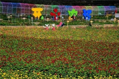 哈尔滨55路公交站点路过哪些站