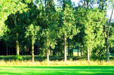 吉林市旅游景点哪里好玩一点的周末出游好去处