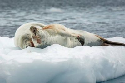 北京十渡周边自驾游景点?避暑胜地哪里好?