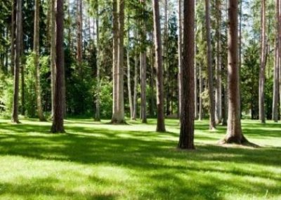 淄博一人一日游攻略,淄博一日游最佳路线图