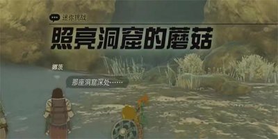 ​王国之泪照亮洞窟的蘑菇迷你挑战攻略