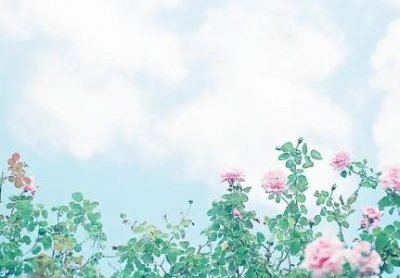​真空包装的牛肉能带上飞机吗？