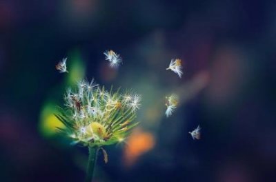 ​丽江必去4个景点丽江旅游攻略必去景点