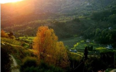 ​杭州附近50公里内有哪些必玩景点