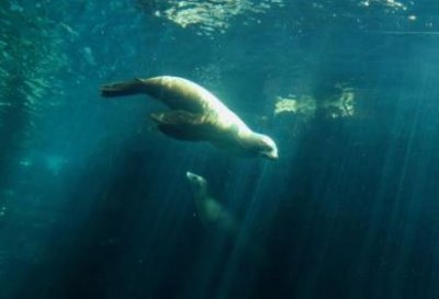 ​20块钱人民币景点最划算的景点游玩