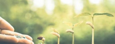 新乡有什么好玩的地方旅游景点