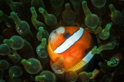 ​12月国内佳旅游地最佳的国内旅游景点