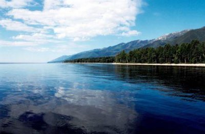 北京大运河森林公园,北京大运河森林公园景点