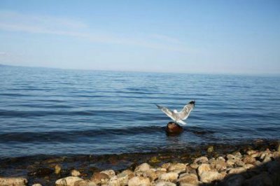 ​从化太平有哪些不容错过的景点