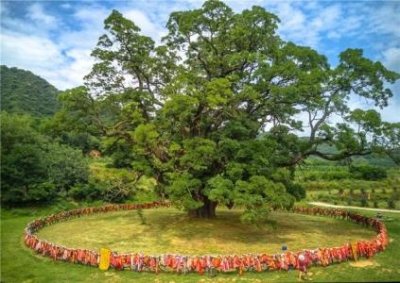 南通52路公交路线:即时查询实时位置